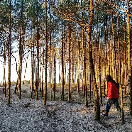 بيت للعطل Domki Mielenko 'Akacjowa' *